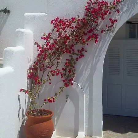 Andrielos * Παράσπορος
